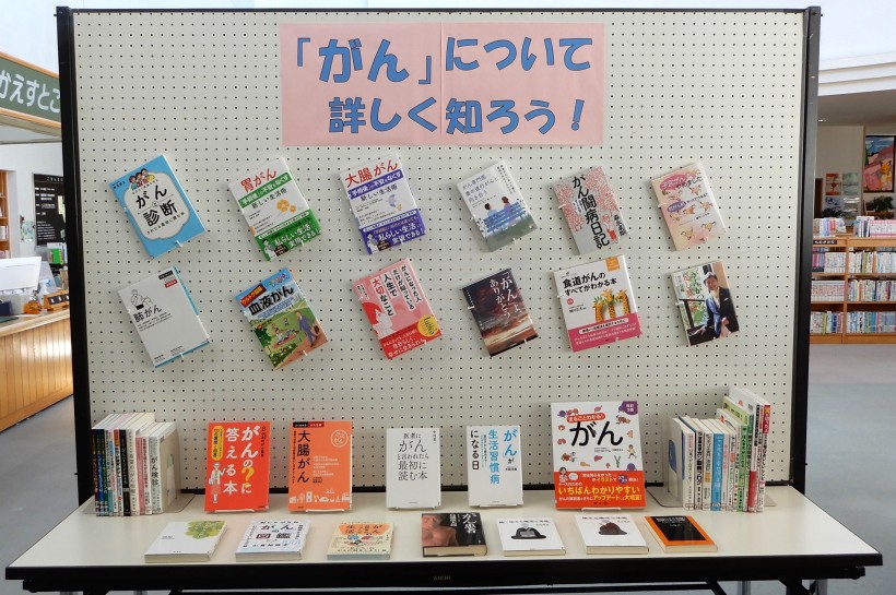 展示