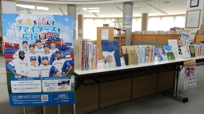 展示