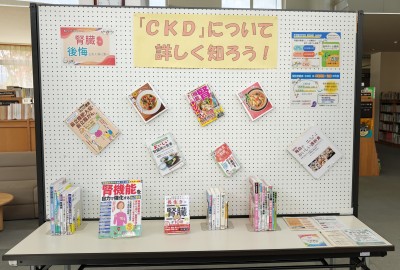 展示