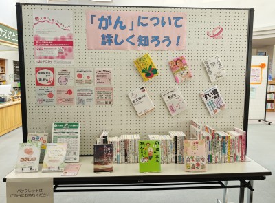 展示
