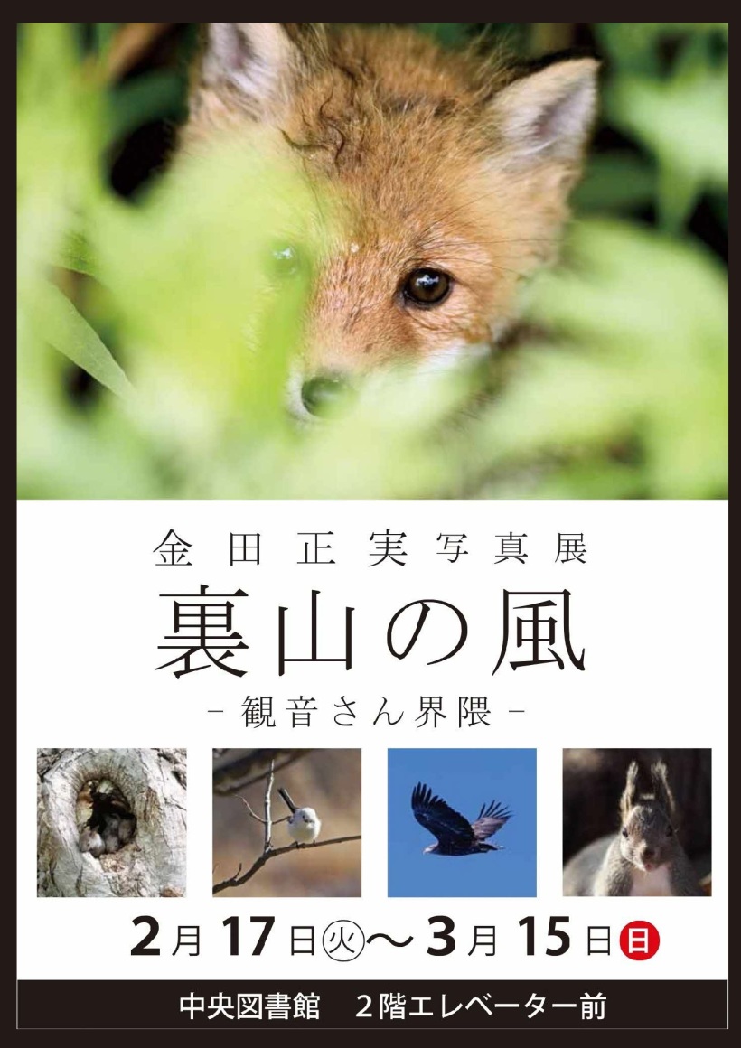 金田正実写真展　裏山の風 - 観音さん界隈